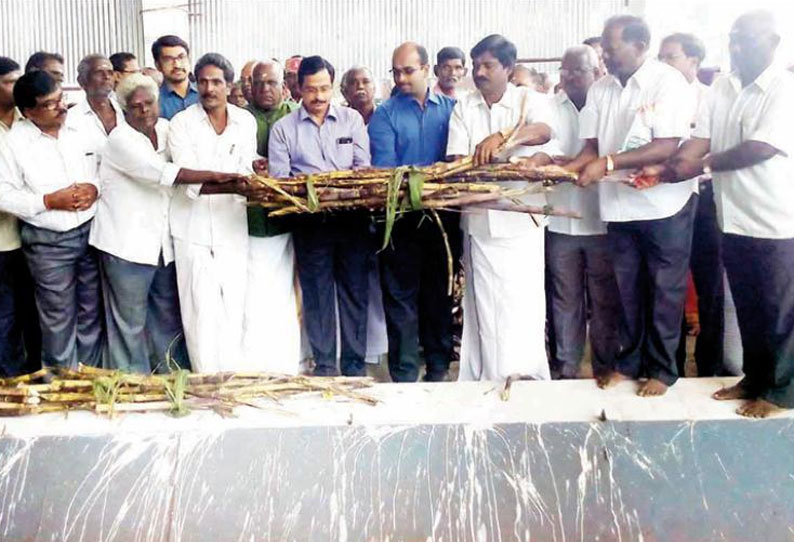 வேலூர் கூட்டுறவு சர்க்கரை ஆலையில் கரும்பு அரவை கலெக்டர் தொடங்கி வைத்தார்