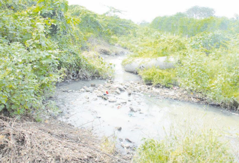 ஏரியில் கலக்கும் பாதாள சாக்கடை கழிவுநீர் நோய் பரவும் அபாயம் இருப்பதால் மக்கள் அச்சம்