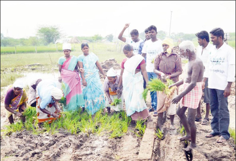 சாலையை சீரமைக்க கோரி கிராம மக்கள் நாற்று நட்டு போராட்டம்