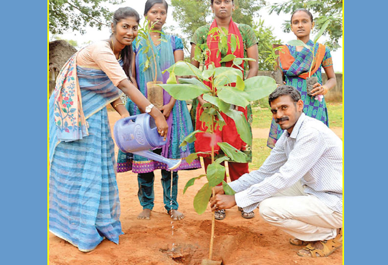 கொதிக்கும் பூமியை குளிர்விக்கும் ஆசிரியர்