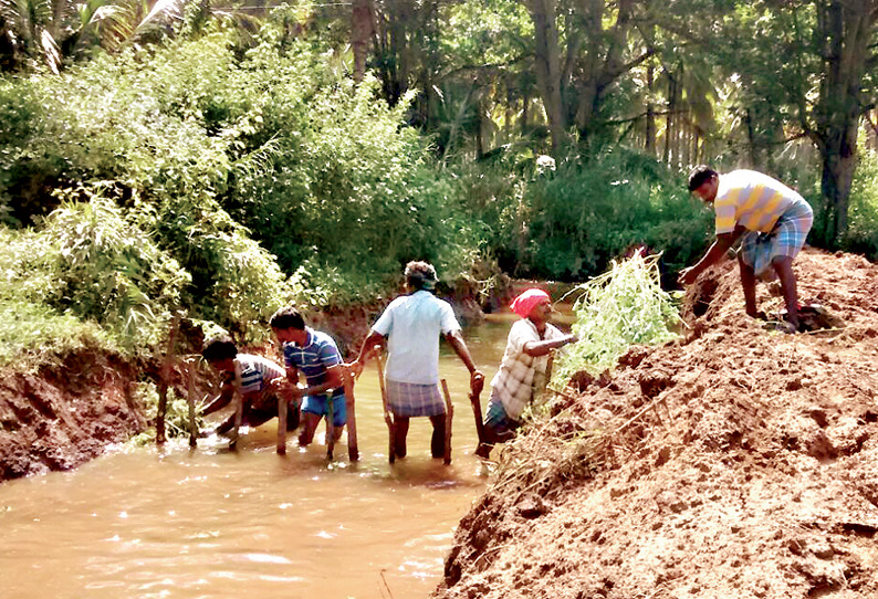 கடமலை–மயிலை ஒன்றியத்தில் வீடு, வீடாக பணம் வசூலித்து வாய்க்காலை சீரமைத்த விவசாயிகள்