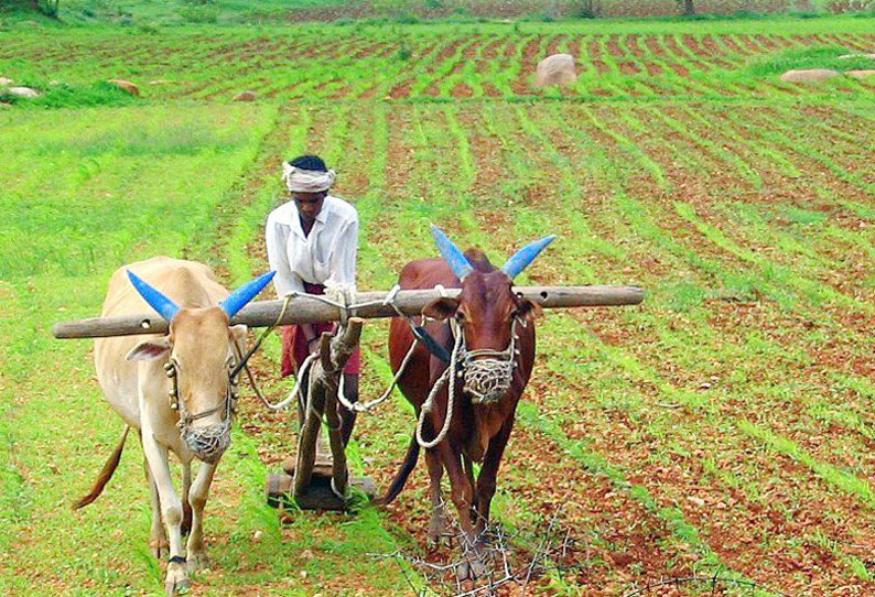 மாவட்டம் முழுவதும் 57,296 விவசாயிகள் பயிர் காப்பீடு செய்துள்ளனர்