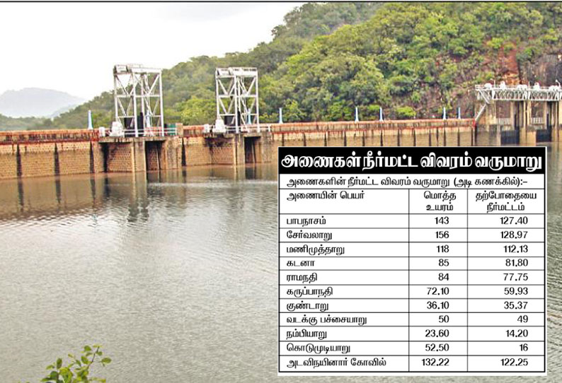 நெல்லை மாவட்டத்தில் உள்ள அணைகளில் 80 சதவீதம் நீர் இருப்பு