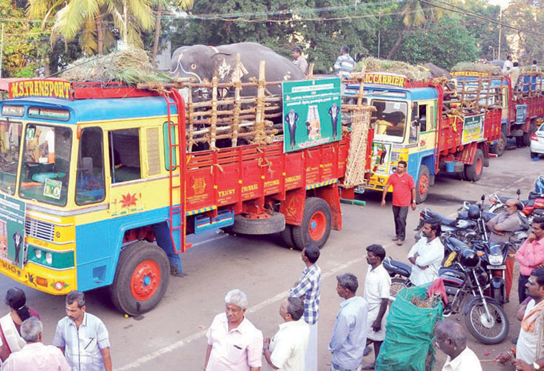 சிறப்பு நலவாழ்வு முகாமில் பங்கேற்பதற்காக 4 கோவில் யானைகள் தேக்கம்பட்டி பயணம்