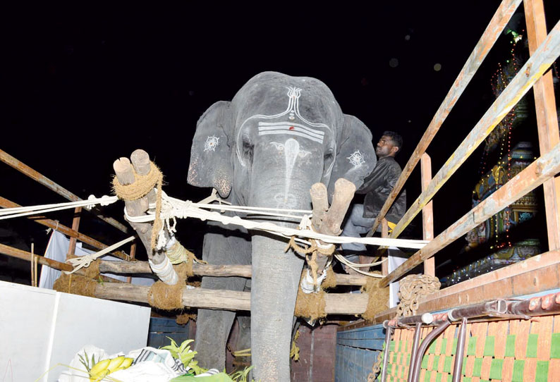 திருவண்ணாமலை அருணாசலேஸ்வரர் கோவில் யானை ருக்கு புத்துணர்வு முகாமுக்கு சென்றது