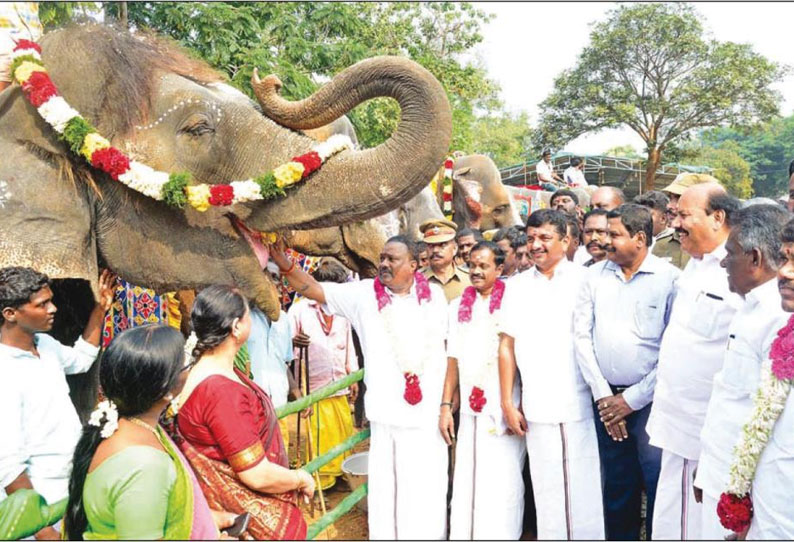 யானைகள் நலவாழ்வு முகாம் அமைச்சர்கள் தொடங்கி வைத்தனர்