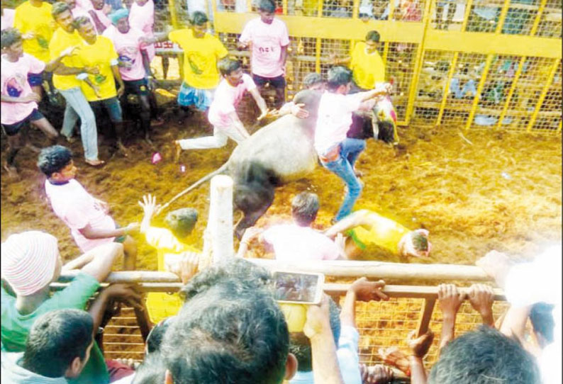 ரெகுநாதபுரத்தில் நடந்த ஜல்லிக்கட்டில் காளைகள் முட்டியதில் 10 பேர் காயம்