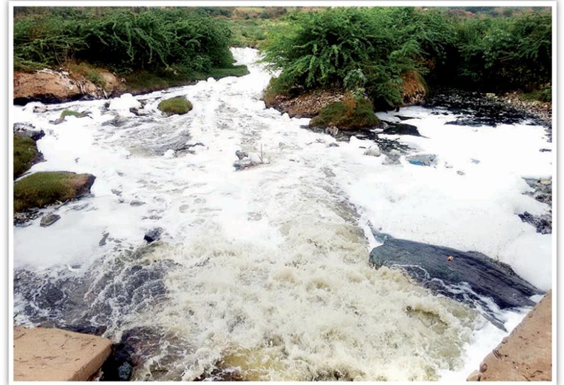 திருப்பூர் காசிபாளையம் பகுதியில் நொய்யல் ஆற்றில் சாயக்கழிவுநீர் கலப்பது தடுக்கப்படுமா? சமூக ஆர்வலர்கள் எதிர்பார்ப்பு