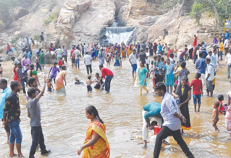 காணும் பொங்கலையொட்டி அமிர்தி பூங்காவுக்கு சுற்றுலா பயணிகள் படையெடுப்பு