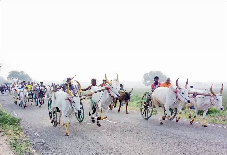 விளாத்திகுளம் அருகே மாட்டு வண்டி போட்டி