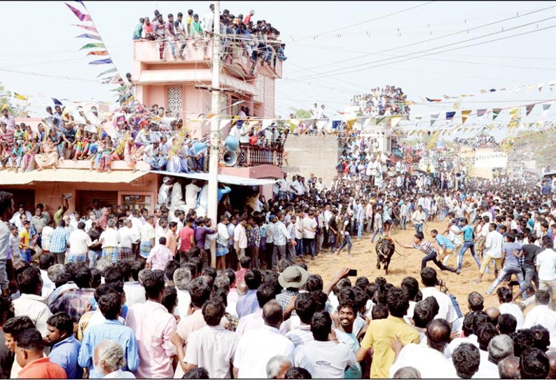 அனுமதியின்றி நடந்த காளை விடும் திருவிழா நடவடிக்கை எடுக்கப்படும் என அதிகாரிகள் தகவல்