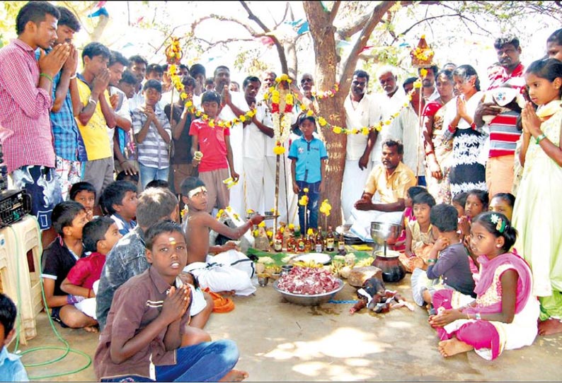 மழை பெய்ய வேண்டி மதுரைவீரன் சாமிக்கு மதுபாட்டில்களை படைத்து சிறுவர்கள் வழிபாடு