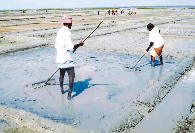 மரக்காணத்தில் உப்பு உற்பத்திக்கான பணிகள் தொடங்கியது