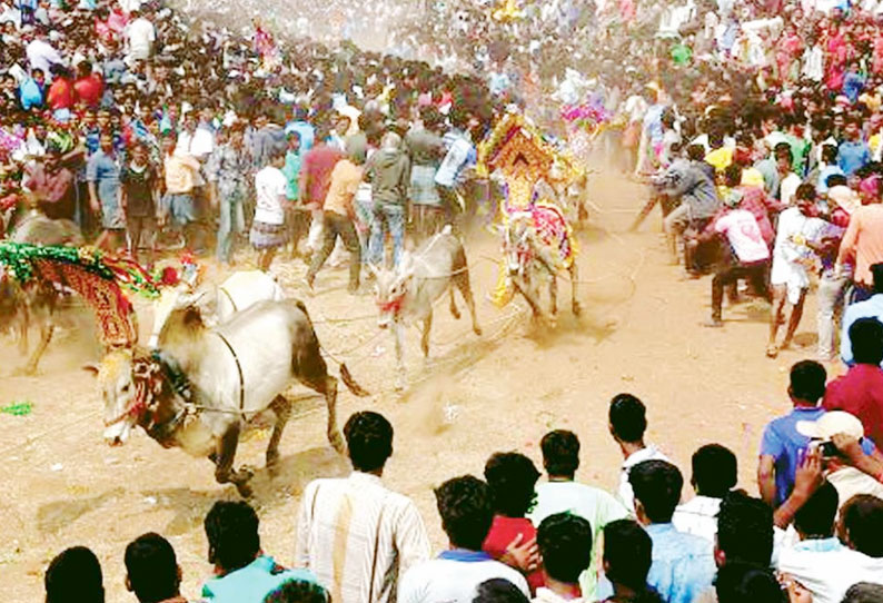 எருது விடும் விழா பாதியில் தடுத்து நிறுத்தம் காளைகள் முட்டி 20 வாலிபர்கள் காயம்