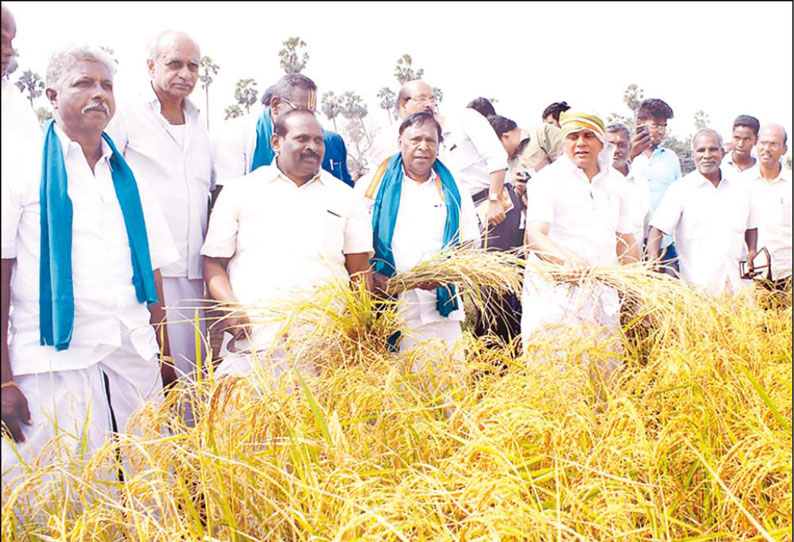 பால் உற்பத்தியை அதிகரிக்க நடவடிக்கை முதல்-அமைச்சர் நாராயணசாமி பேச்சு